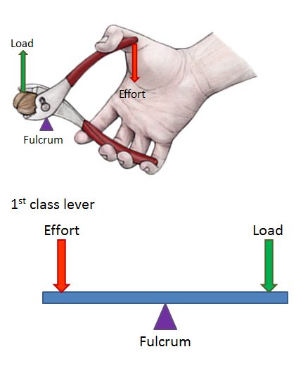 millwright tool identification exam answer