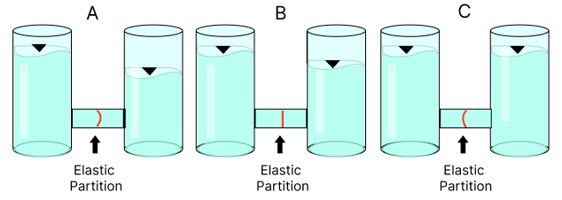 MECHANICS FLUIDS POSS MASS QUESTION